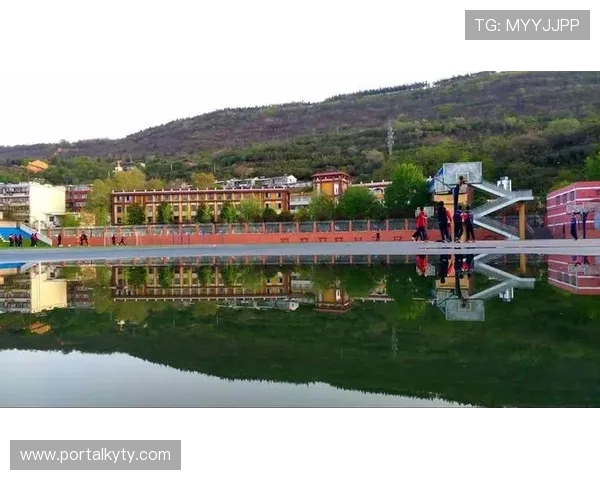 畅享开云体育，下载app后如何高效利用平台资源