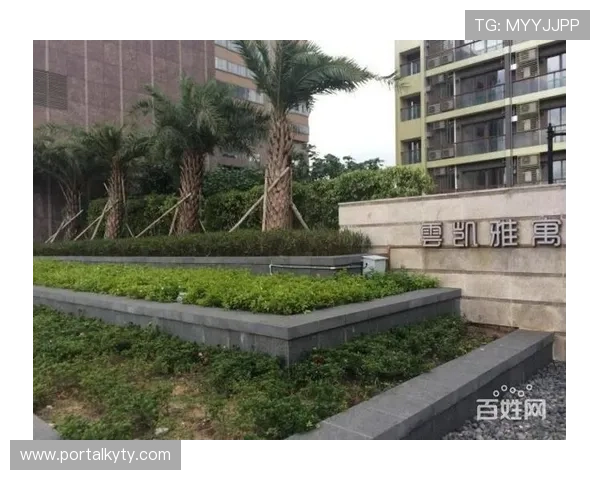 开云家寓地址查询常见问题及解决方案详解